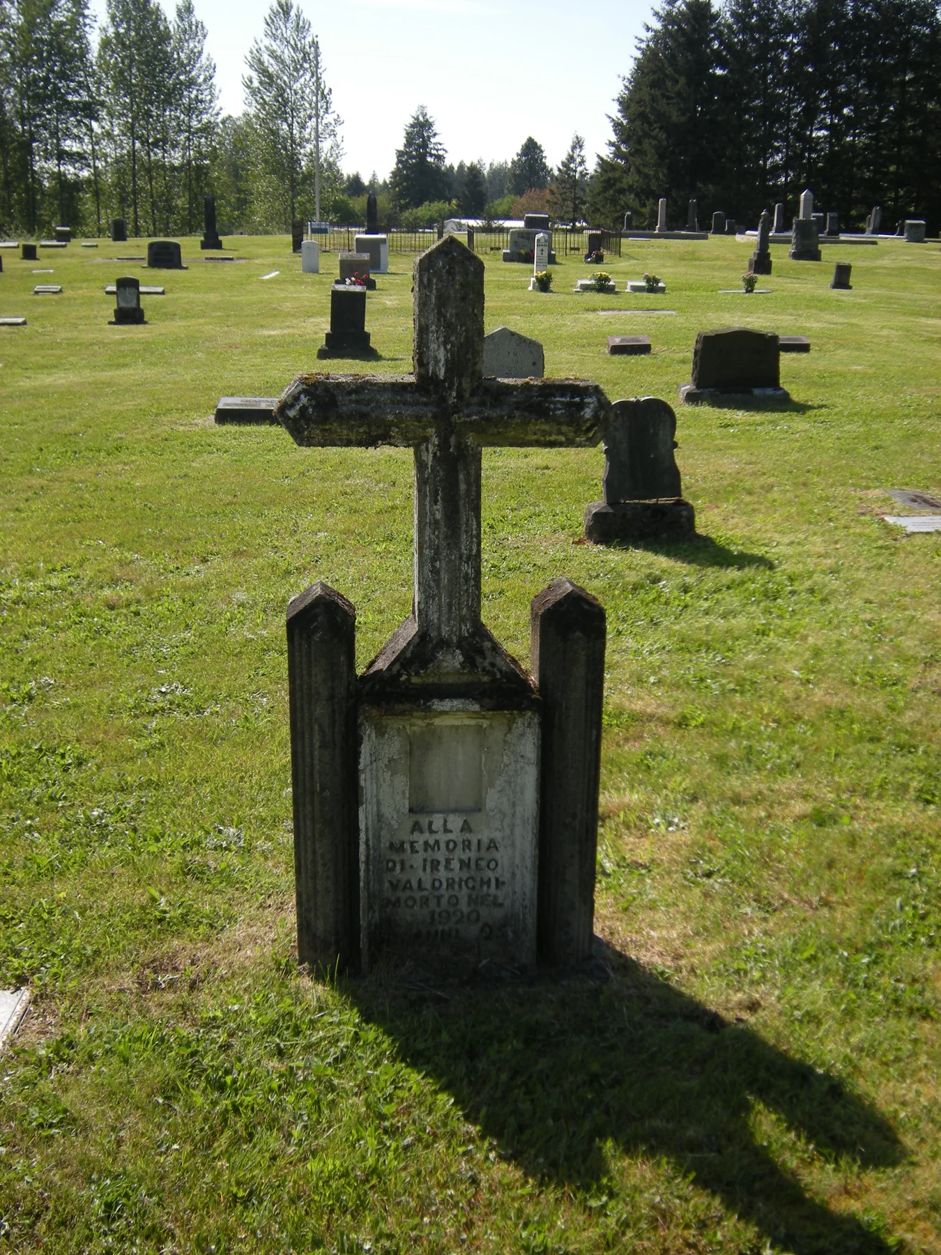 Gravestones and trees at Black Diamond Cemetery, photographed in 2009